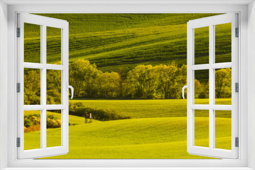 Fototapeta Naklejka Na Ścianę Okno 3D - Moravian Tuscany in spring