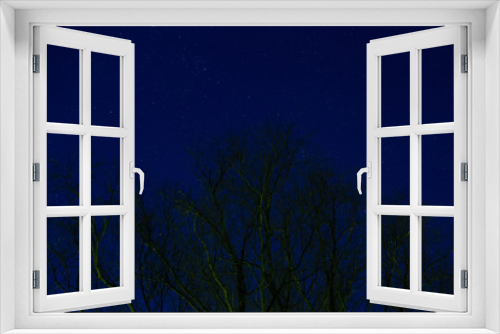 Fototapeta Naklejka Na Ścianę Okno 3D - night starry sky through the trees
