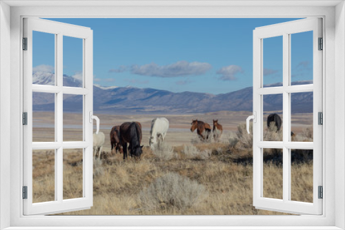 Fototapeta Naklejka Na Ścianę Okno 3D - Wild Horses in Utah in Winter