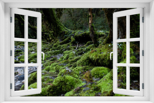 Fototapeta Naklejka Na Ścianę Okno 3D - stream in forest