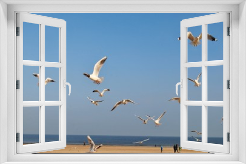 Fototapeta Naklejka Na Ścianę Okno 3D - Mewy na plaży