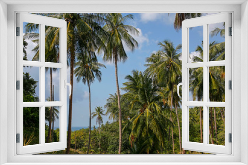 Fototapeta Naklejka Na Ścianę Okno 3D - coconut palm trees with blue sky and sea in the background
