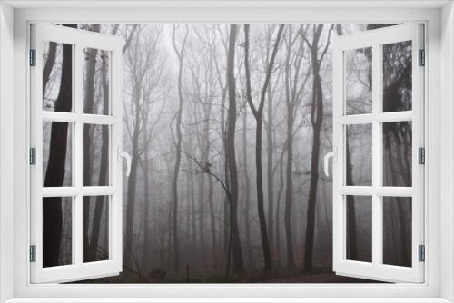Fototapeta Naklejka Na Ścianę Okno 3D - Wald im Nebel