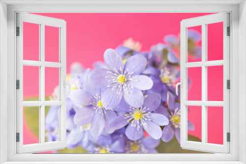 Fototapeta Naklejka Na Ścianę Okno 3D - romantic flowers