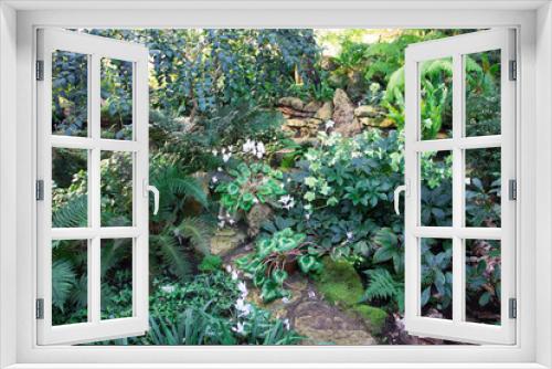 Fototapeta Naklejka Na Ścianę Okno 3D - Photo in the Botanical Garden