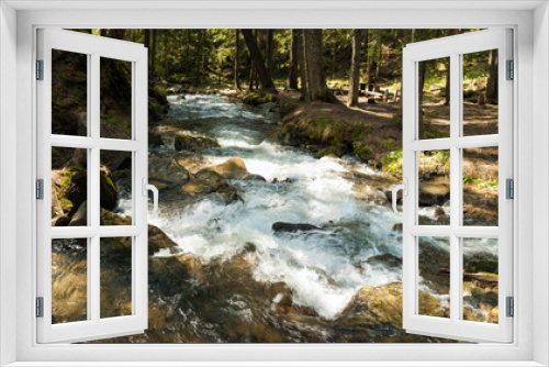 Fototapeta Naklejka Na Ścianę Okno 3D - Mountain river in the mountains of the Carpathians in early spring. Small river deep in the forest in the rays of the spring sun.