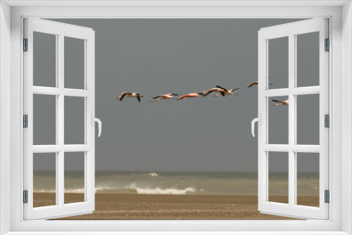 Fototapeta Naklejka Na Ścianę Okno 3D - Aves