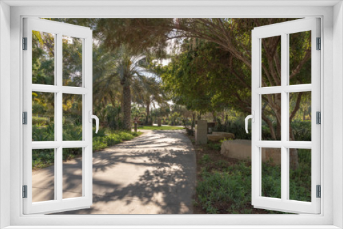 Fototapeta Naklejka Na Ścianę Okno 3D - Romantic morning stroll in an urban desert park, Abu Dhabi