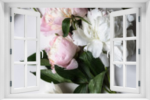 Fototapeta Naklejka Na Ścianę Okno 3D - Closeup of beautiful pink and white Peonie flower on light background