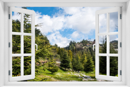 Fototapeta Naklejka Na Ścianę Okno 3D - this is a capture for a landscape in Lebanon with a beautiful green trees and lovely blue sky with some cloud that make some nice texture 