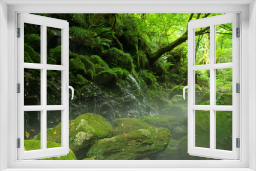 Fototapeta Naklejka Na Ścianę Okno 3D - 緑の世界
