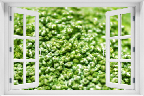 Fototapeta Naklejka Na Ścianę Okno 3D - broccoli2