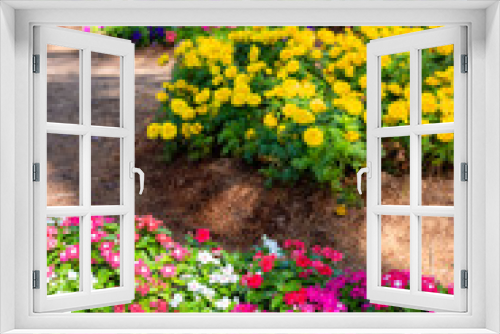 Fototapeta Naklejka Na Ścianę Okno 3D - Flowers in garden.