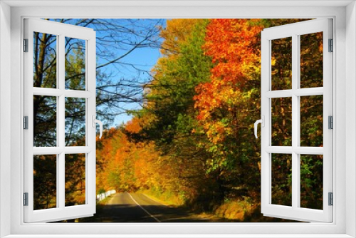 Fototapeta Naklejka Na Ścianę Okno 3D - the beautiful autumn forest in bright yellow colors