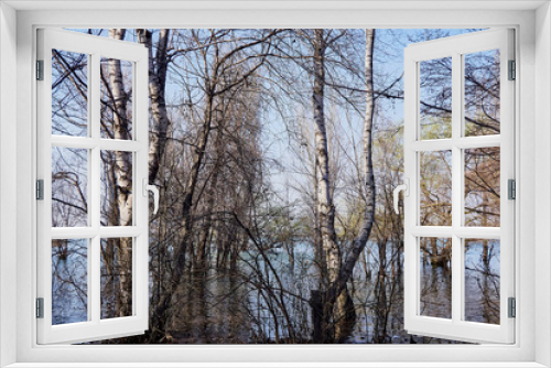 Fototapeta Naklejka Na Ścianę Okno 3D - spring trees stood in the water at high tide on a sunny warm day on the lake and blue sky