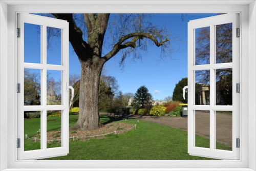 Fototapeta Naklejka Na Ścianę Okno 3D - Spring at St Mary’s Abbey, York Museum Gardens - Yorkshire, England, UK