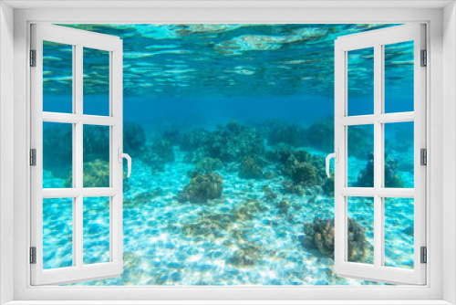Fototapeta Naklejka Na Ścianę Okno 3D - beautiful coral in diving spot Surin island