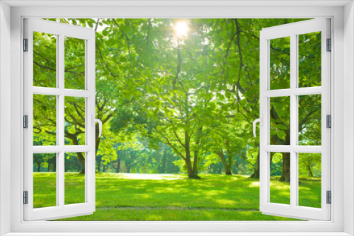 Fototapeta Naklejka Na Ścianę Okno 3D - sunshine garden in the morning