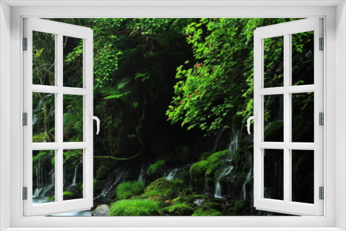 Fototapeta Naklejka Na Ścianę Okno 3D - 夏の滝