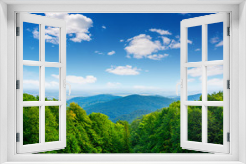 Fototapeta Naklejka Na Ścianę Okno 3D - Photo of green forest and valley in Carpathian mountains