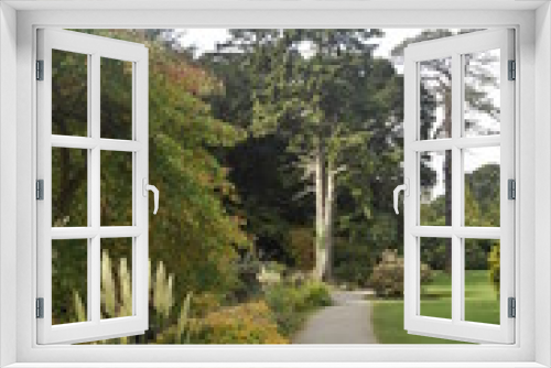 Fototapeta Naklejka Na Ścianę Okno 3D - Gardens in Killarney National Park, Irelan