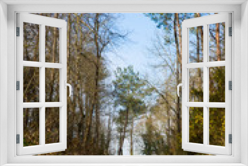 Fototapeta Naklejka Na Ścianę Okno 3D - Ambiance forestière et bucolique 