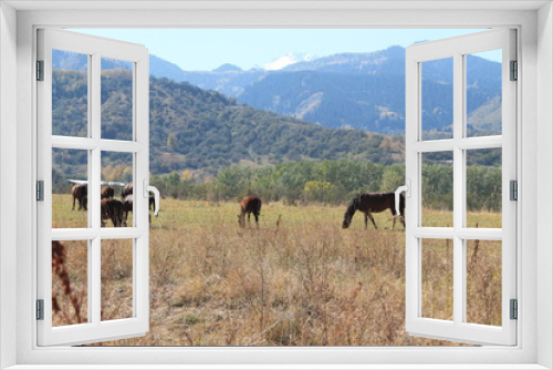 Fototapeta Naklejka Na Ścianę Okno 3D - horses in the mountains