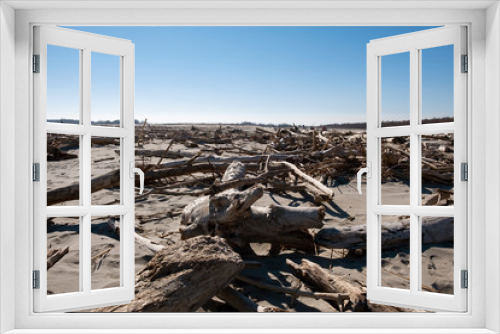 Fototapeta Naklejka Na Ścianę Okno 3D - Spiaggia d'inverno con tronchi d' alberi