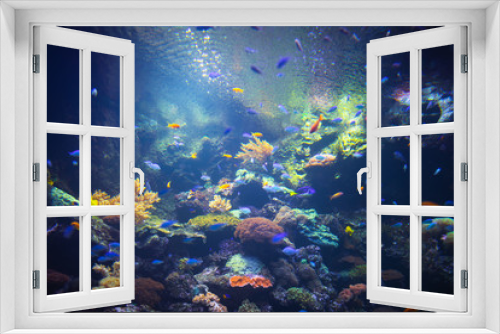 Fototapeta Naklejka Na Ścianę Okno 3D - colorful aquarium background with underwater plants
