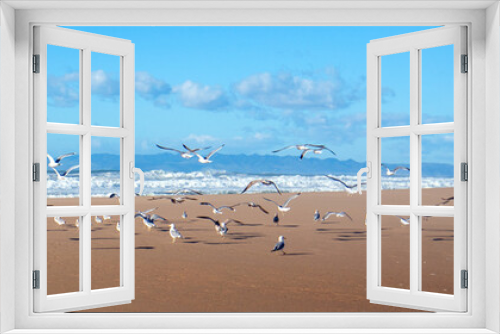 Fototapeta Naklejka Na Ścianę Okno 3D - Seagulls flying on peninsula of sand between Pacific ocean and the Santa Maria river at the Rancho Guadalupe Sand Dunes Preserve on the central coast of California United States