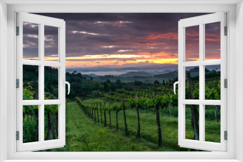 Fototapeta Naklejka Na Ścianę Okno 3D - Vineyard landscape in Tuscany, Italy. Misty sunrise