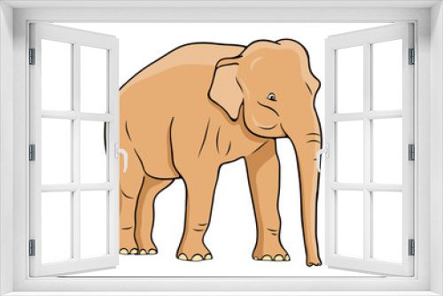 Fototapeta Naklejka Na Ścianę Okno 3D - elephant