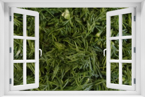 Fototapeta Naklejka Na Ścianę Okno 3D - sliced green background greenery