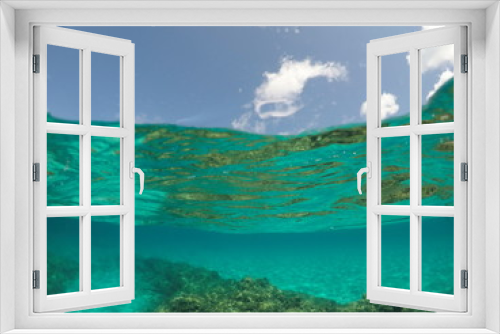 Fototapeta Naklejka Na Ścianę Okno 3D - Underwater image in Formentera Balearics Spain