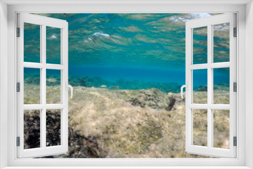 Fototapeta Naklejka Na Ścianę Okno 3D - Underwater image in Formentera Balearics Spain