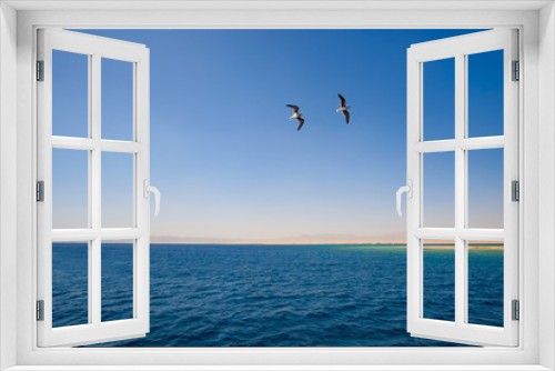Fototapeta Naklejka Na Ścianę Okno 3D - two seagulls are flying hovering over the sea