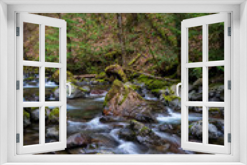 Fototapeta Naklejka Na Ścianę Okno 3D - Rocky Brook Washington State