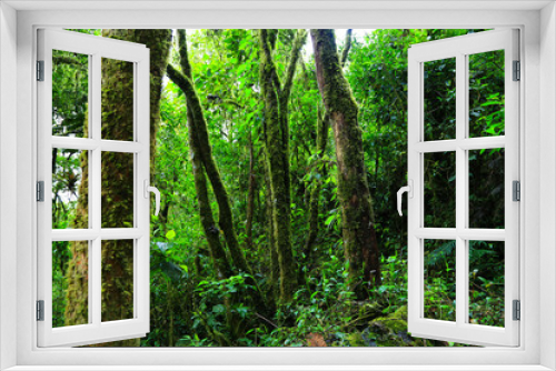 Fototapeta Naklejka Na Ścianę Okno 3D - paisajes verdes colombia