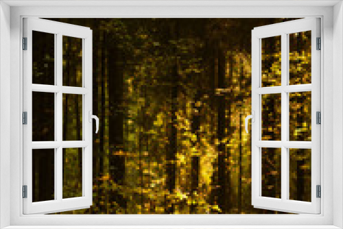 Fototapeta Naklejka Na Ścianę Okno 3D - Forest thicket