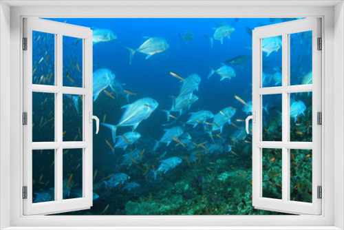 Fototapeta Naklejka Na Ścianę Okno 3D - Underwater coral reef and fish in ocean 