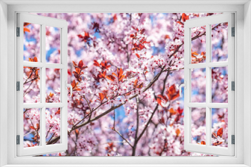 Fototapeta Naklejka Na Ścianę Okno 3D - spring tree in bloom. beautiful pink flowers.