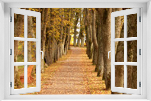 Fototapeta Naklejka Na Ścianę Okno 3D - autumn wayside trees
