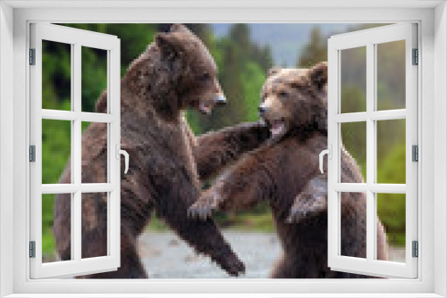 Fototapeta Naklejka Na Ścianę Okno 3D - Two big brown bears in river