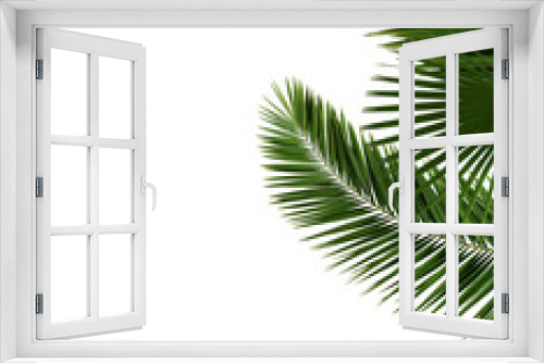 Fototapeta Naklejka Na Ścianę Okno 3D - Palm tree leaves close-up isolated on white background, nature concept template mock-up