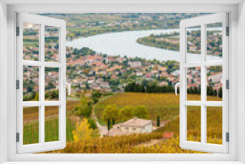 Fototapeta Naklejka Na Ścianę Okno 3D - autumn vineyards in Rhona region