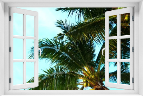 Fototapeta Naklejka Na Ścianę Okno 3D - The concept of rest. Beautiful coconut palm trees against the blue sky. bottom view