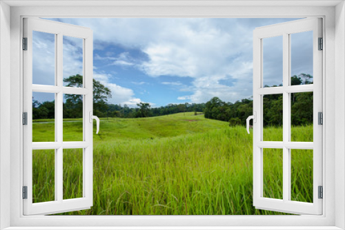 Fototapeta Naklejka Na Ścianę Okno 3D - Summer, Khao Yai National Park, Land, Thailand, Agricultural Field