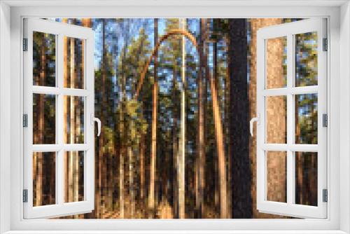 Fototapeta Naklejka Na Ścianę Okno 3D - Forest landscape. Pine forest in Russia