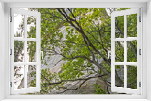 Fototapeta Naklejka Na Ścianę Okno 3D - Abstract - tree and cliff scenery in spring season.