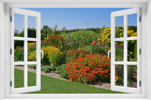 Fototapeta Naklejka Na Ścianę Okno 3D - A colourful enclosed Garden 'Room' well planted with mixed planting including, crocosmia, heleniums, dahlias, coreopsis and rudbeckia and grasses
